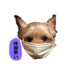 ろまん君②（個別スタンプ：12）