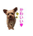 ろまん君②（個別スタンプ：27）