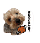 ろまん君②（個別スタンプ：29）