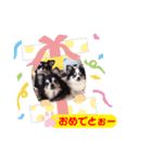 大切な家族...（個別スタンプ：7）