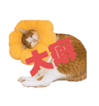 猫カフェNyannyスタンプ（個別スタンプ：7）