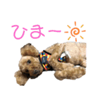 ぷーちゃんはおもしろい！（個別スタンプ：6）