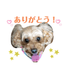 ぷーちゃんはおもしろい！（個別スタンプ：12）