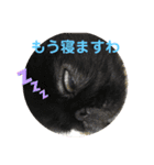 モヒカンガールれいこ（個別スタンプ：6）