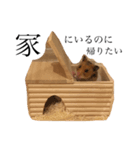 おまるスタンプ（適当ver）（個別スタンプ：5）