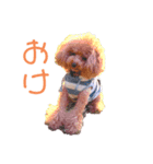 バービー＆ルーシー（個別スタンプ：1）