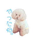 バービー＆ルーシー（個別スタンプ：5）