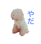 バービー＆ルーシー（個別スタンプ：7）