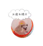 ☆らりるRIEと癒しのペット達☆（個別スタンプ：5）