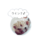 ☆らりるRIEと癒しのペット達☆（個別スタンプ：7）