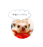 ☆らりるRIEと癒しのペット達☆（個別スタンプ：8）