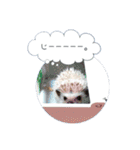 ☆らりるRIEと癒しのペット達☆（個別スタンプ：9）