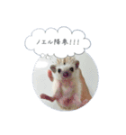 ☆らりるRIEと癒しのペット達☆（個別スタンプ：10）