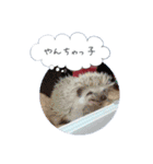 ☆らりるRIEと癒しのペット達☆（個別スタンプ：11）