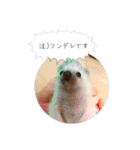 ☆らりるRIEと癒しのペット達☆（個別スタンプ：13）