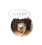☆らりるRIEと癒しのペット達☆（個別スタンプ：18）