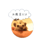 ☆らりるRIEと癒しのペット達☆（個別スタンプ：27）