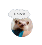 ☆らりるRIEと癒しのペット達☆（個別スタンプ：29）