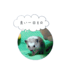 ☆らりるRIEと癒しのペット達☆（個別スタンプ：30）
