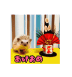 ☆らりるRIEと癒しのペット達☆（個別スタンプ：34）