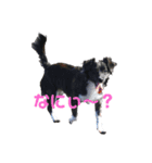 Dのつぶやき（個別スタンプ：2）