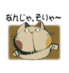 猫バッカ（個別スタンプ：1）