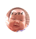 わが家のアイドル蔵之介（個別スタンプ：13）