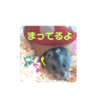 ハムスター♡プニ 日常よく使うあいさつ（個別スタンプ：11）