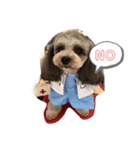 愛大ラブリ（個別スタンプ：3）