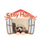 愛犬ラブリ（個別スタンプ：1）