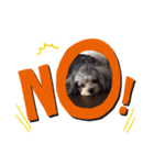 愛犬ラブリ（個別スタンプ：4）