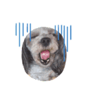 愛犬ラブリ（個別スタンプ：6）