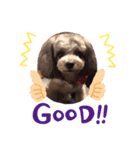 愛犬ラブリ（個別スタンプ：8）