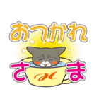 サバトラ猫ちゃんのデカ文字スタンプ（個別スタンプ：5）