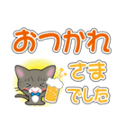 サバトラ猫ちゃんのデカ文字スタンプ（個別スタンプ：6）