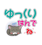 サバトラ猫ちゃんのデカ文字スタンプ（個別スタンプ：10）