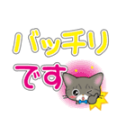 サバトラ猫ちゃんのデカ文字スタンプ（個別スタンプ：17）