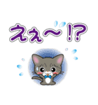 サバトラ猫ちゃんのデカ文字スタンプ（個別スタンプ：31）