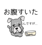 mix犬 テト（個別スタンプ：1）