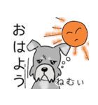 mix犬 テト（個別スタンプ：7）