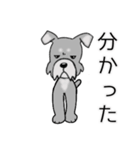 mix犬 テト（個別スタンプ：8）