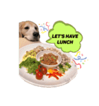 goldenretriever    ALOHA（個別スタンプ：20）