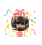 Bellちゃんでーす（個別スタンプ：8）