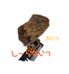 シベリアンワシミミズクの挨拶（個別スタンプ：7）