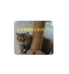 返事いろいろ（個別スタンプ：4）