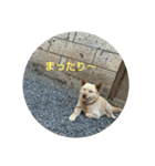 返事いろいろ（個別スタンプ：5）