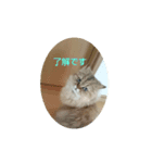 返事いろいろ（個別スタンプ：8）