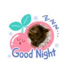 うちの猫(*ΦωΦ*)（個別スタンプ：7）