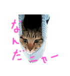ルカ スタンプ（個別スタンプ：1）