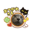 ゆずちゃんのあいさつ（個別スタンプ：1）